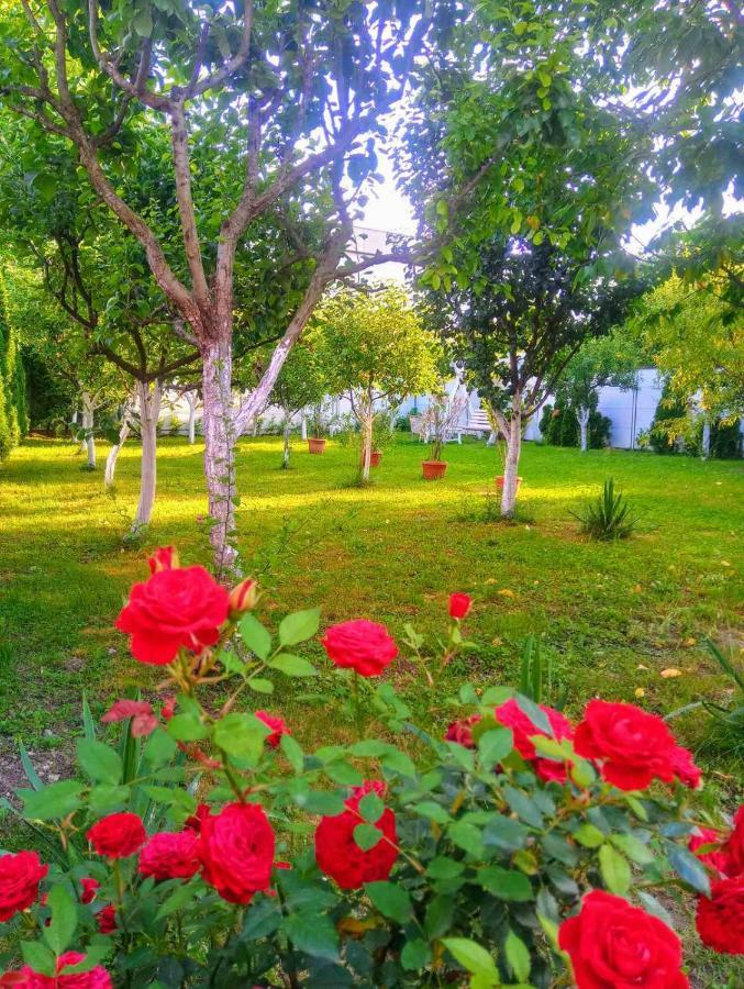 Apartmani Jasmina 2 Bihać Εξωτερικό φωτογραφία