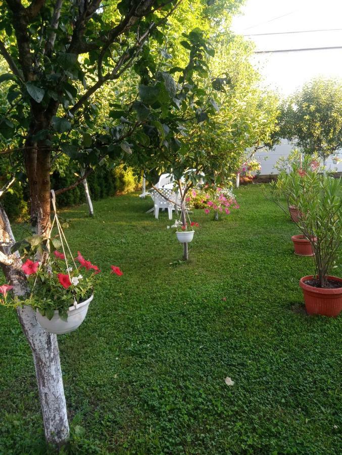 Apartmani Jasmina 2 Bihać Εξωτερικό φωτογραφία